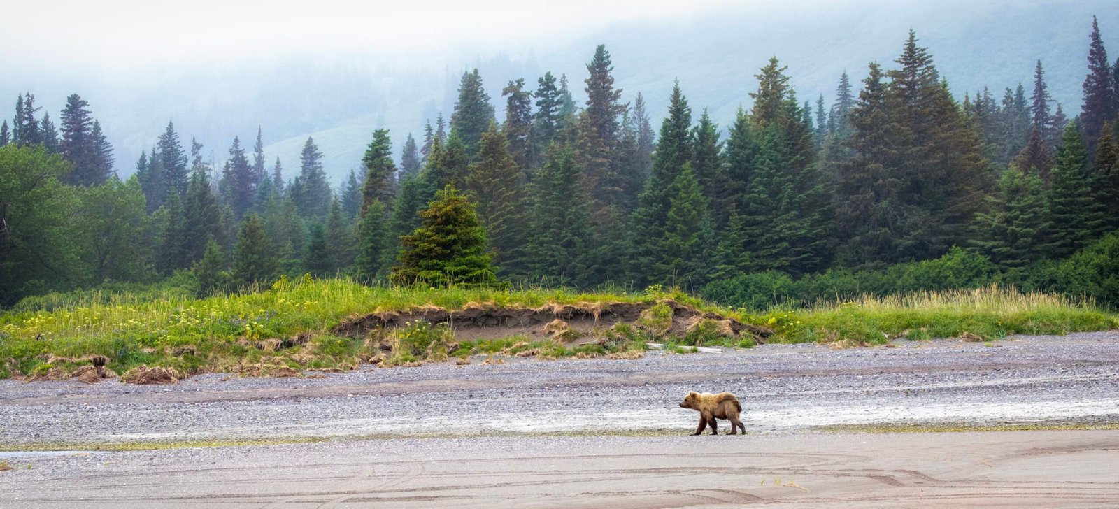 99FFCF66-9998-4F69-93CA-02F529DCB547