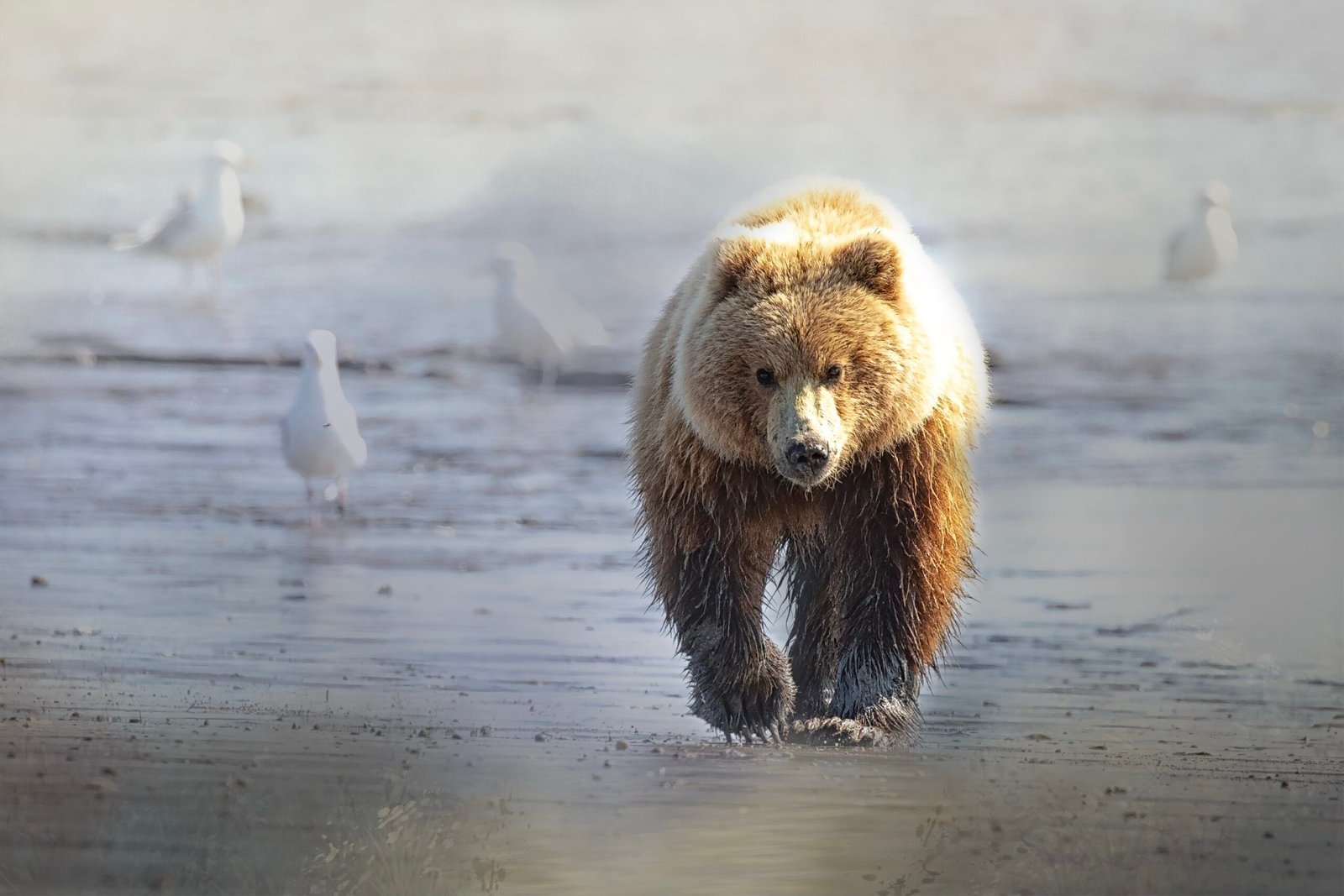 CD1C5F76-5B5E-4168-9520-4E19C65B1580