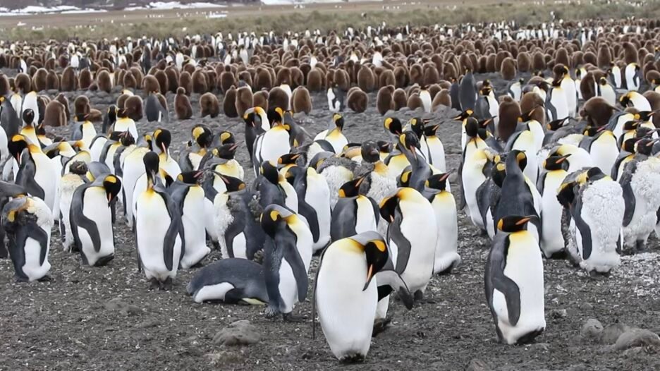 D69D067C-02A4-4AD1-B477-B2CBCFBD3355