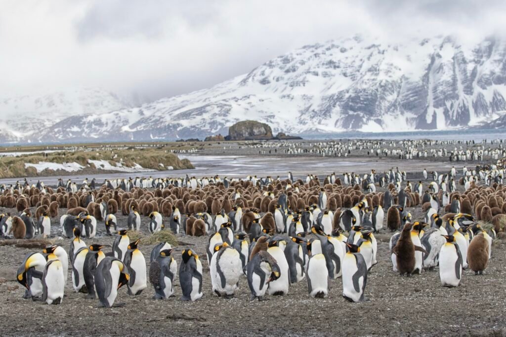 FF560368-F0F4-404D-A76C-E7CDE19EC494